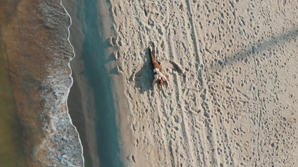 Drone Moves Behind Woman in Sport Wear Holds Yoga Asana Position on the Sandy Sea or Ocean Beach alt