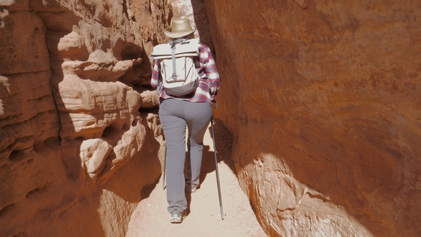 A Hiker Woman Walks Between The Rocks Of The Grand Canyon alt