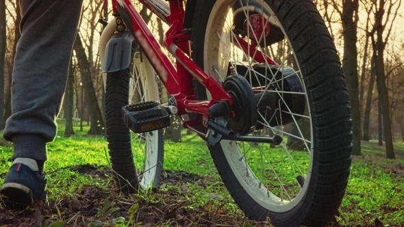 Little Boy Learns to Ride a Bicycle in the Park at Sundown alt