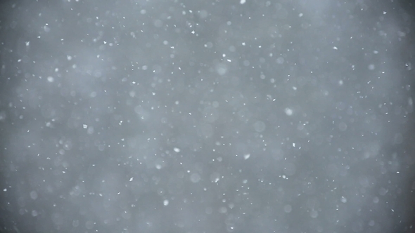 Background of Snow Fall Blowing Fast in Winter Blizzard