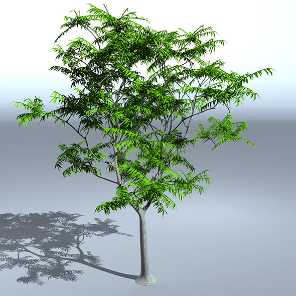 Tree 05 - 3Docean 21844045