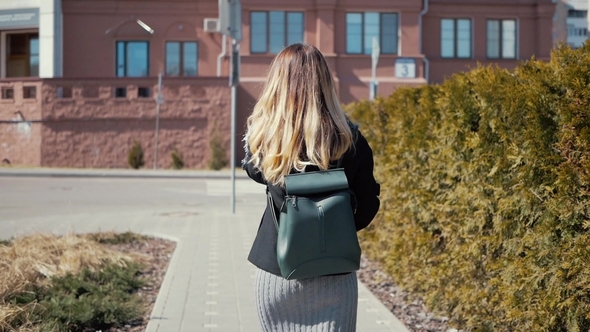 Brunette Walks Around the City alt