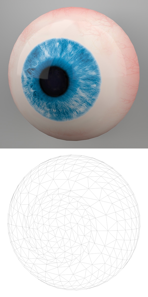 Human Eye 3D - 3Docean 21848982