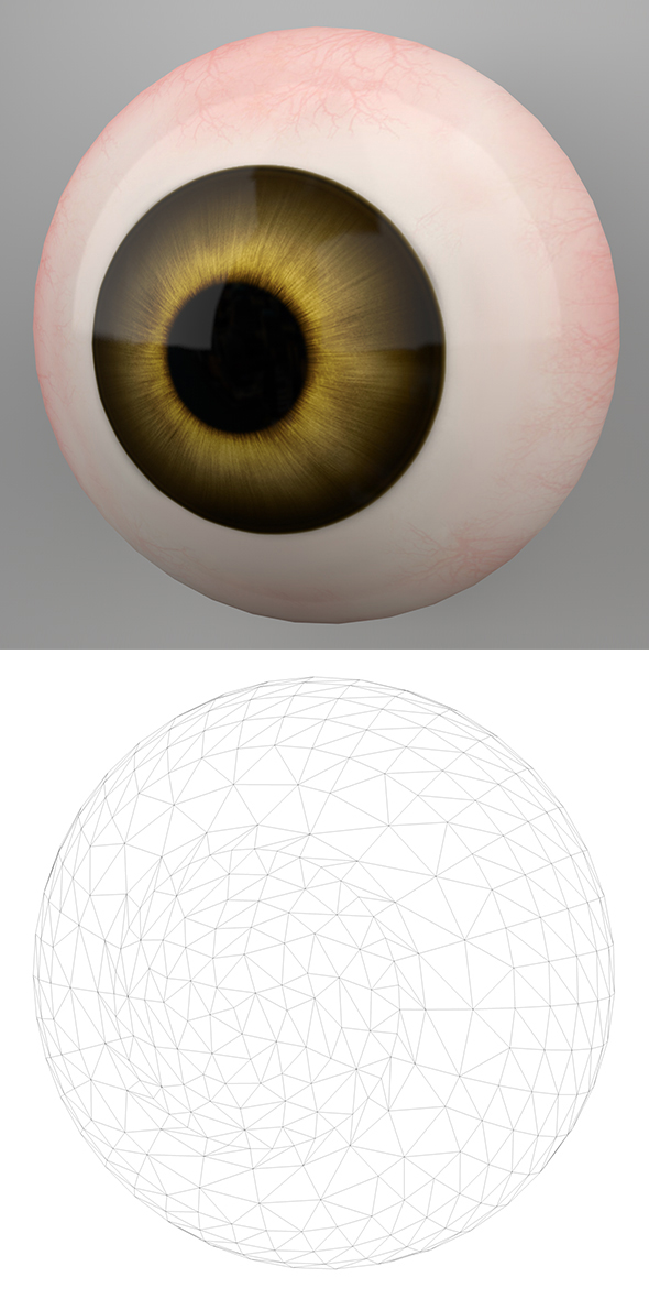Human Eye 3DModel - 3Docean 21848994