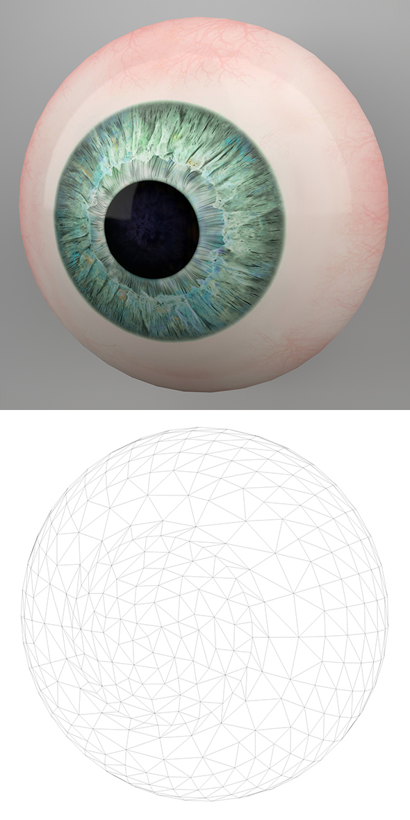 Human Eye 3D - 3Docean 21849004
