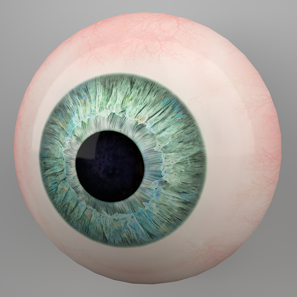 Human Eye 3D Model by LaythJawad | 3DOcean