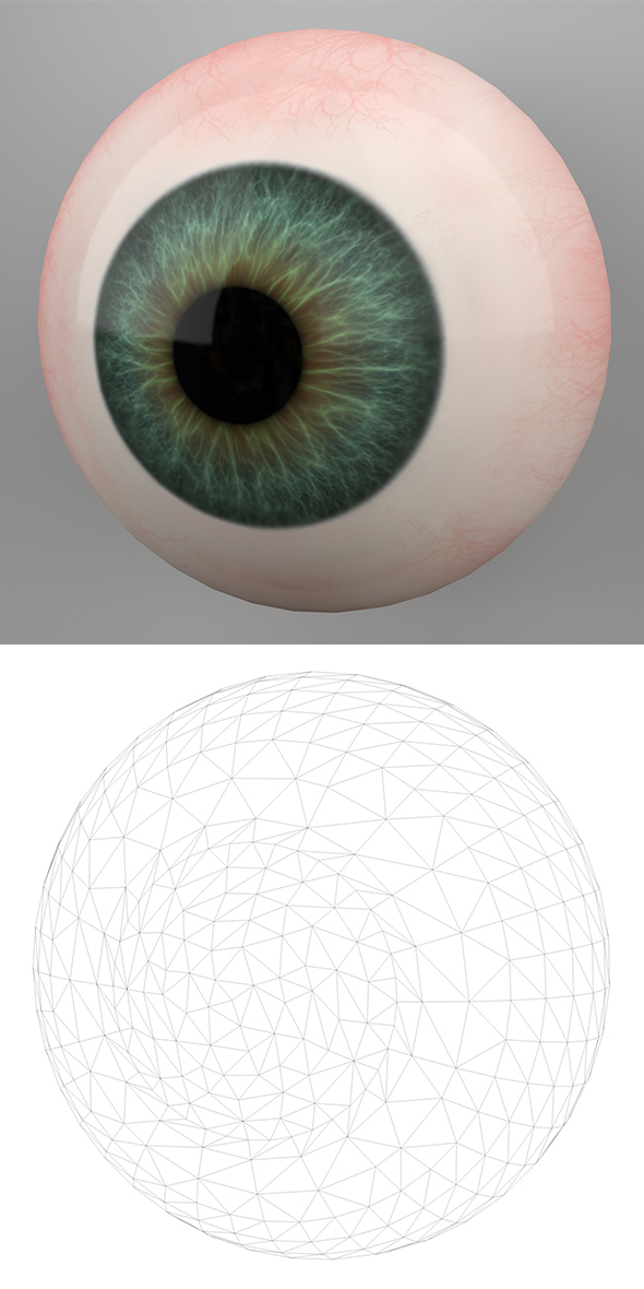 Human Eye 3D - 3Docean 21849011