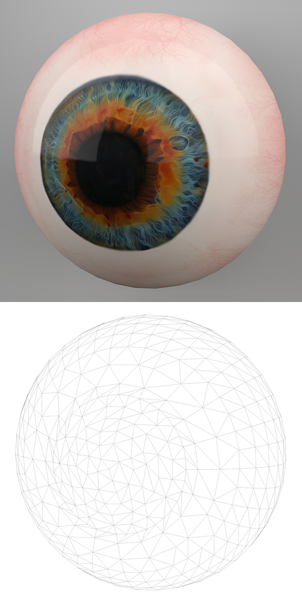 Human Eye 3D - 3Docean 21849012