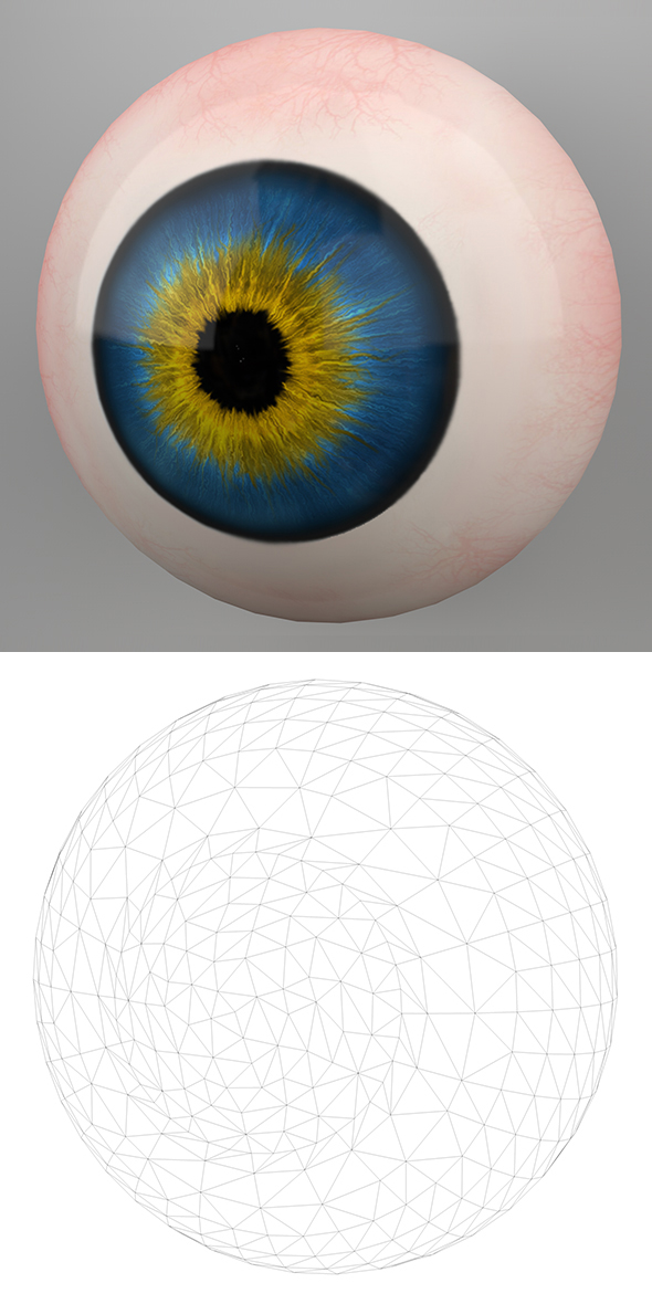 Human Eye 3D - 3Docean 21849017