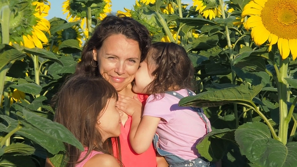 Happy Family in Sunflowers alt