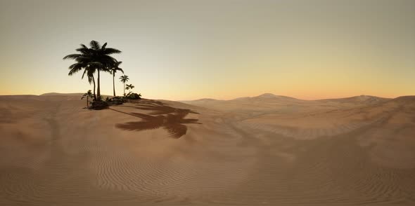 Vr 360 Camera Moving Above Desert alt