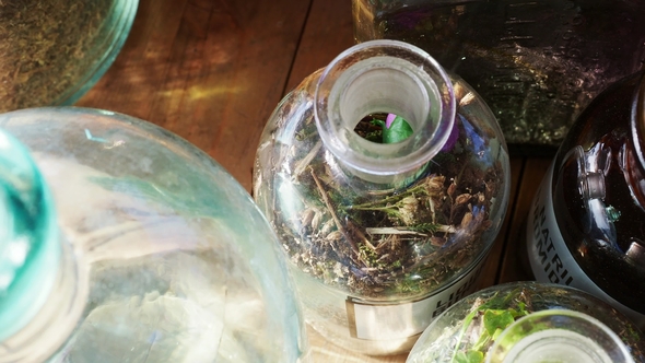 Jars and Bottles of Herbs