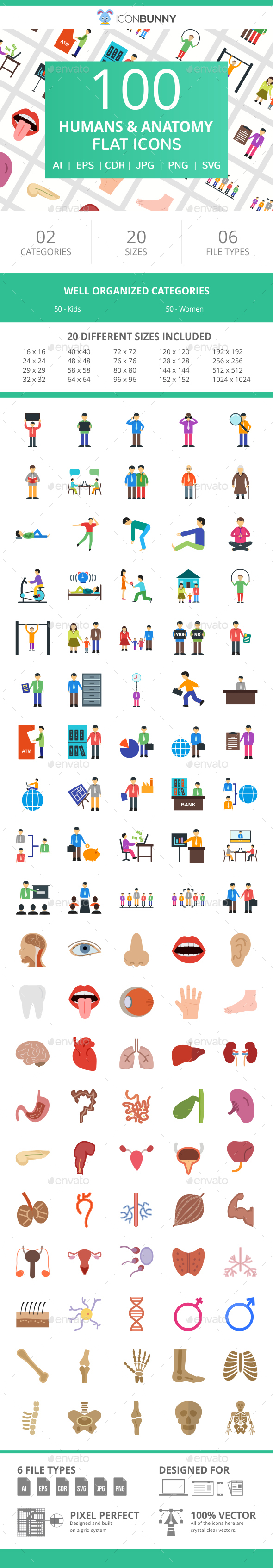 100 Humans & Anatomy Flat Icons - Icons