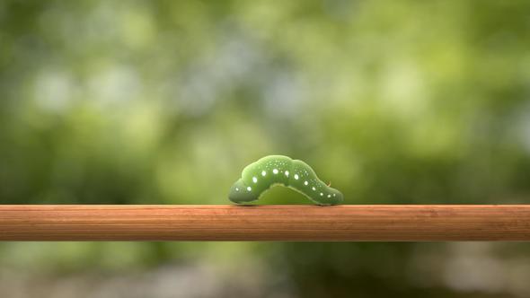 Green Caterpillar