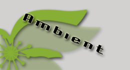 AMBIENT
