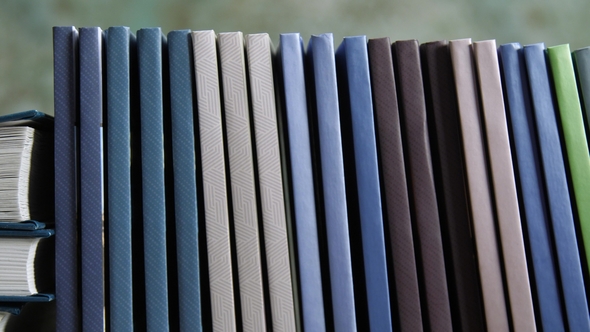 Many Books or Notebooks Stand in a Row on the Shelf alt