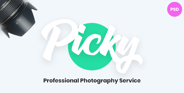Picky - Professional - ThemeForest 21771018