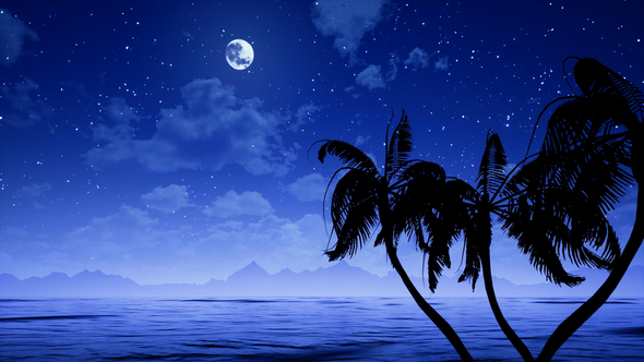 Palms At Ocean And Move Moon