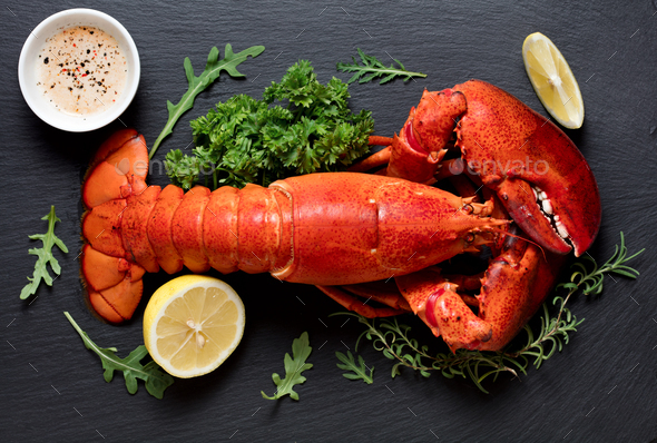 Lobster - Stock Photo - Images