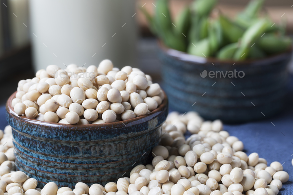 Close-up of Dry Soybeans Stock Photo by charlotteLake | PhotoDune