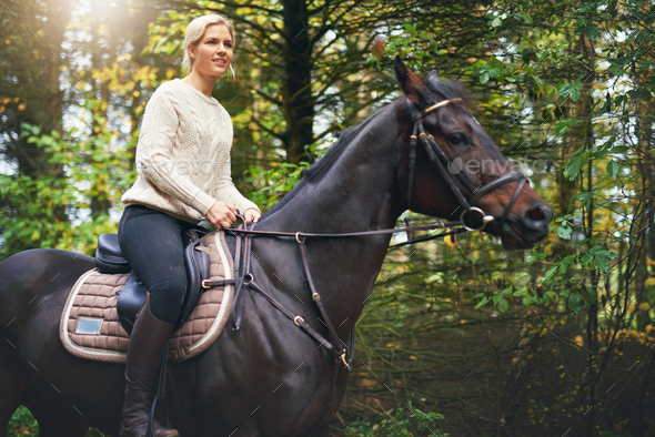 Lady riding a brown horse in park - Stock Photo - Images