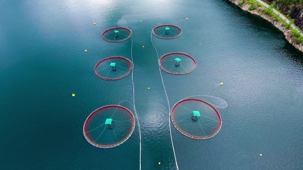 Aerial Footage Farm Salmon Fishing in Norway alt