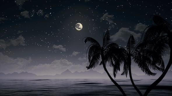 Palms In Ocean At Night