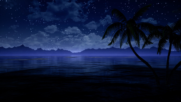 Palms in Ocean At Blue Night