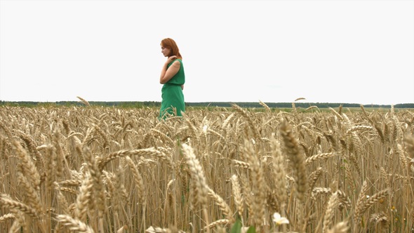 Girl on Wheat Field