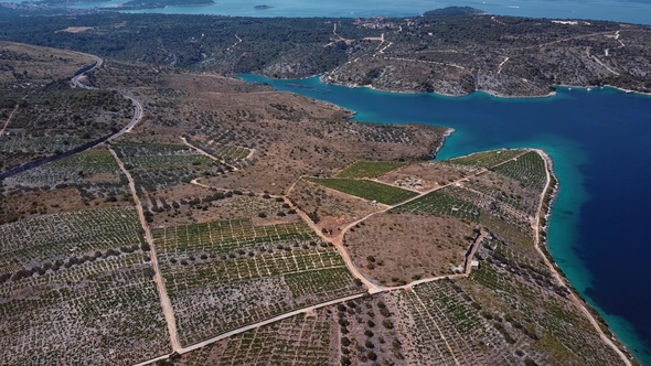 Aerial View of Primosten Vineyards, Croatia alt