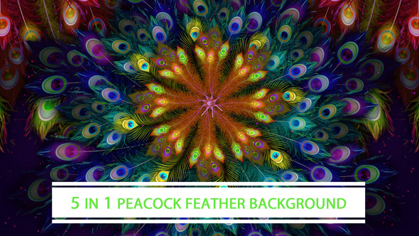 Peacock Feather Background