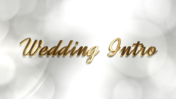 Wedding Intro - VideoHive 21879185
