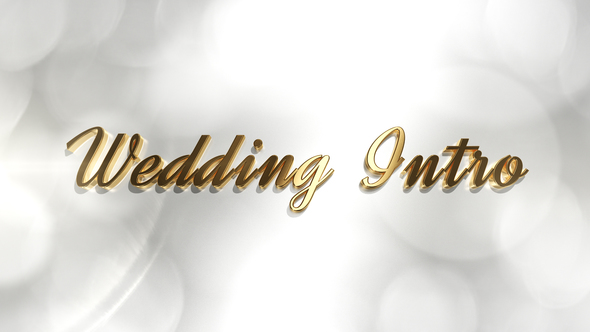 Wedding Intro After Effects Project Files VideoHive