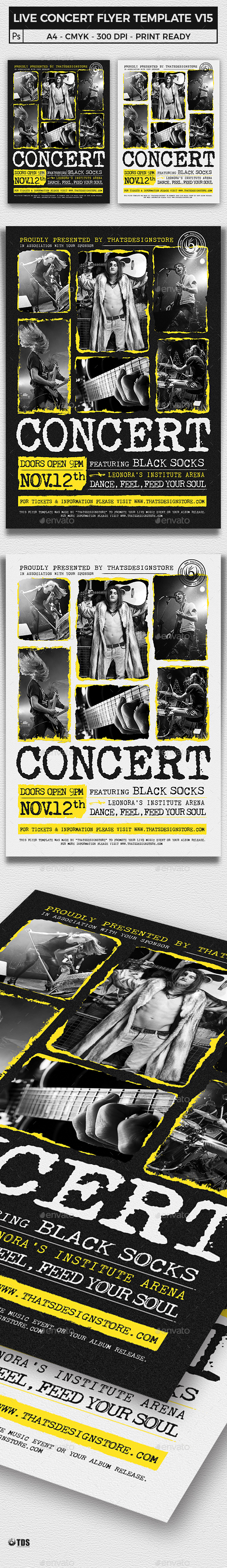 Live Concert Flyer Template V15 - Concerts Events