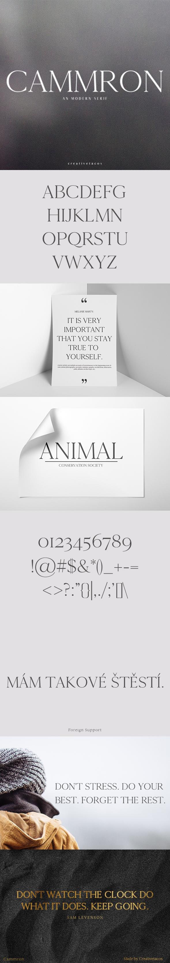 Cammron Serif Font Family - Serif Fonts