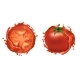 Vector Set of Two Red Ripe Tomatoes with Splashes, Vectors | GraphicRiver