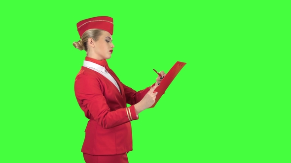 Girl Writes a Pen in a Special Folder, She Is a Flight Attendant. Green Screen. Side View alt