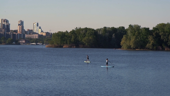 Very Long Shot, Guy with a Girl Swim on the River Standing on the Sups on the City's Background