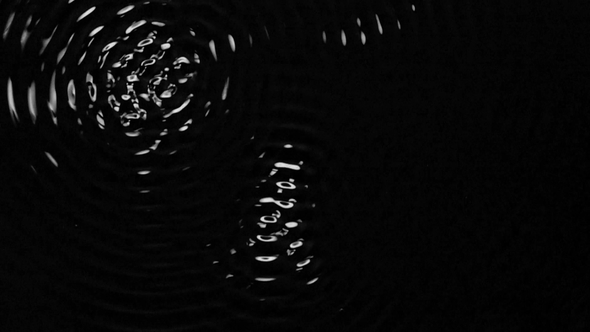 Vortex of Water Forming Shapes Under the Action of Ultrasonic Frequencies. Black Background. alt
