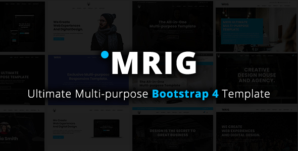 Mrig - Multi-purpose - ThemeForest 21817013