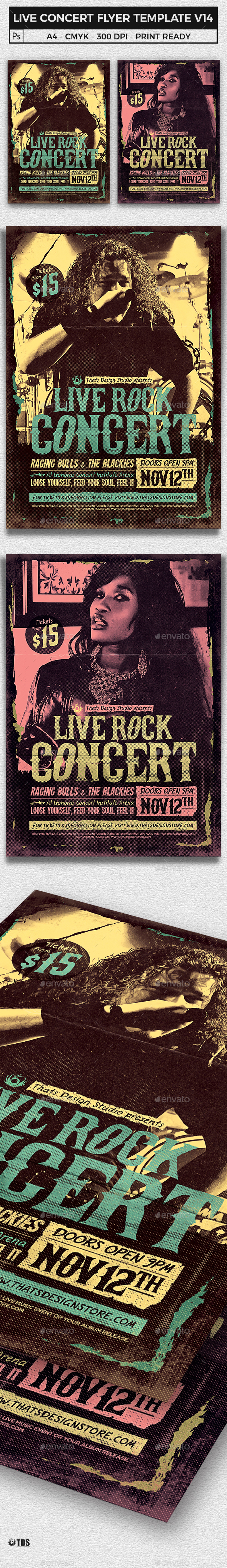 Live Concert Flyer Template V14 - Concerts Events