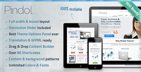 Pindol WordPress Theme - Business Corporate