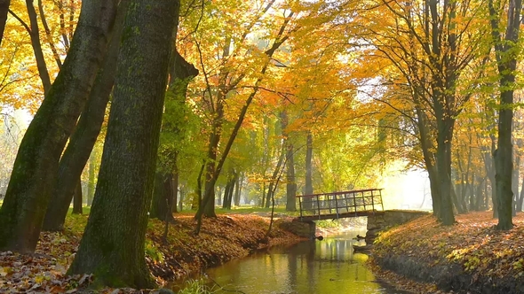 Lone Bridge in the Park. Amazing Autumn in Topilche Hydropark, Ternopil City, Ukraine, Europe