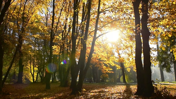 Amazing Autumn in Topilche Hydropark in Ternopil City, Ukraine