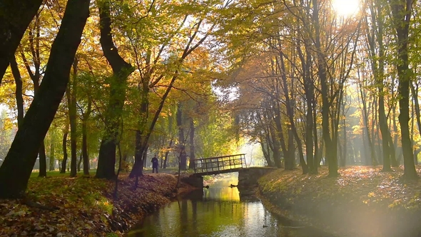 Lone Bridge in Amazing Autumn Park in Topilche Hydropark in Ternopil City