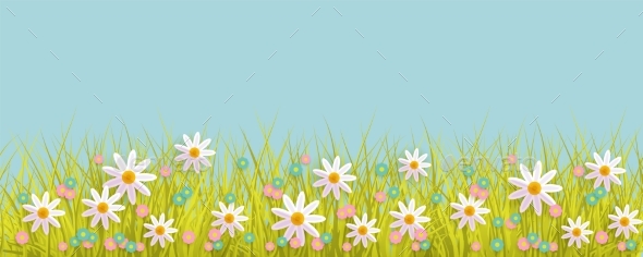 Spring Background with Grass and Flowers Border - Flowers & Plants Nature