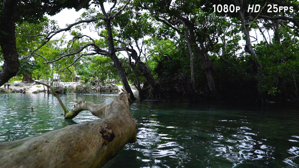Blue Lagoon Pool Vanuatu