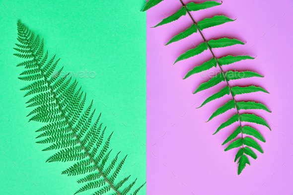 Minimal - Stock Photo - Images