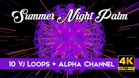 Summer Night Palm Vj Loops Pack