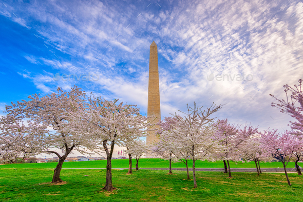 Washington DC in Spring - Stock Photo - Images